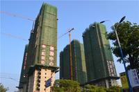 华一·红树林 实景图