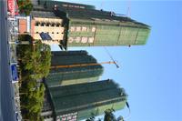 华一·红树林 实景图