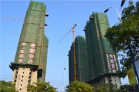 华一·红树林 实景图