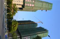 华一·红树林 实景图