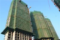 华一·红树林 实景图