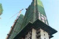 华一·红树林 实景图