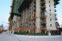 华一·红树林 实景图