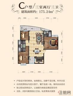 【C户型】3室2厅3卫1厨1阳台