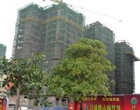 星海湾海怡岛2013.11.28实景图