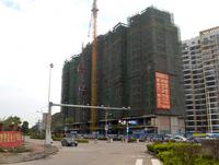 星海湾海怡岛2013.11.28实景图