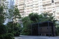 南兴盛世江南园林实景