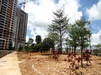 恒祥亲水湾6月上旬实景图