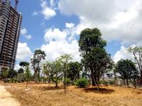 恒祥亲水湾6月上旬实景图