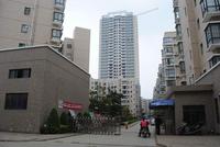 金耀·中央城小区实景图 