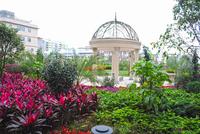 天筑塞纳实景图(03.02)