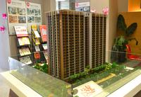 2013.11.15颐华居沙盘