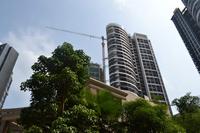 升禾绿城世界实景图(6.19)