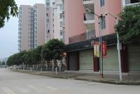 泰鑫·江滨住宅小区实景图