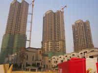 凤岭名筑实景图(2013.12.7)