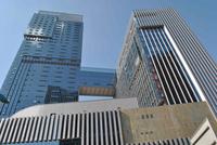 8月九洲国际项目实景图