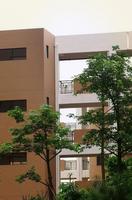 融晟公园大地实景