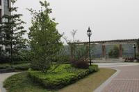 天昌凯悦国际实景图（2013.12.11）