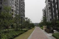 天昌凯悦国际实景图（2013.12.11）