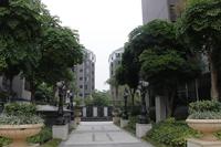 天昌凯悦国际实景图（2013.12.11）