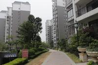 天昌凯悦国际实景图（2013.12.11）