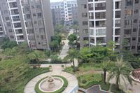 天昌凯悦国际实景图（2013.12.11）