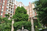 凤凰台实景图(8.21)