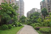 凤凰台实景图(8.21)
