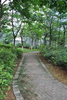 维也纳森林实景图(8.28)