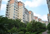 维也纳森林实景图(8.28)