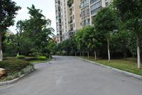 维也纳森林实景图(8.28)