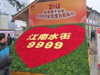 江南水街2013迎春花市年货会暨首届插花DIY大赛(01.12)