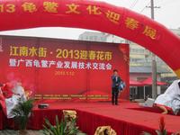 江南水街2013迎春花市年货会暨首届插花DIY大赛(01.12)
