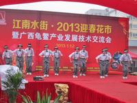 江南水街2013迎春花市年货会暨首届插花DIY大赛(01.12)