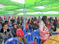 江南水街2013迎春花市年货会暨首届插花DIY大赛(01.12)