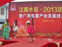 江南水街2013迎春花市年货会暨首届插花DIY大赛(01.12)