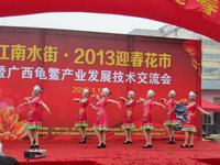 江南水街2013迎春花市年货会暨首届插花DIY大赛(01.12)
