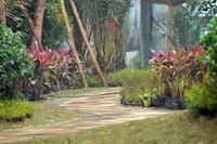 海华·东盟公馆实景图(1.14)