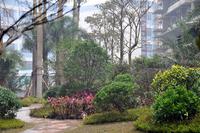 海华·东盟公馆实景图(1.14)