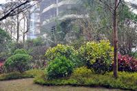 海华·东盟公馆实景图(1.14)