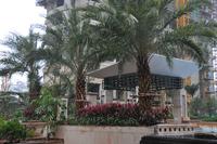 海华·东盟公馆实景图(1.14)