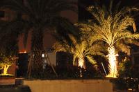 海华·东盟公馆实景图(1.14)