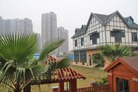 融晟·公园大地摄影比赛颁奖典礼(01.12)