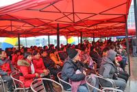 牛顿@苹果开盘(01.12)