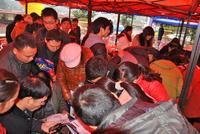 牛顿@苹果开盘(01.12)