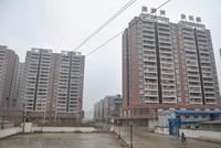 寨柳城市花园实景图