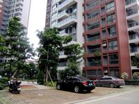九龙新城2013.1.14实景图