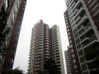 九龙新城2013.1.14实景图