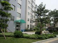 九龙新城2013.1.14实景图