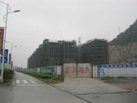 荷花苑施工现场